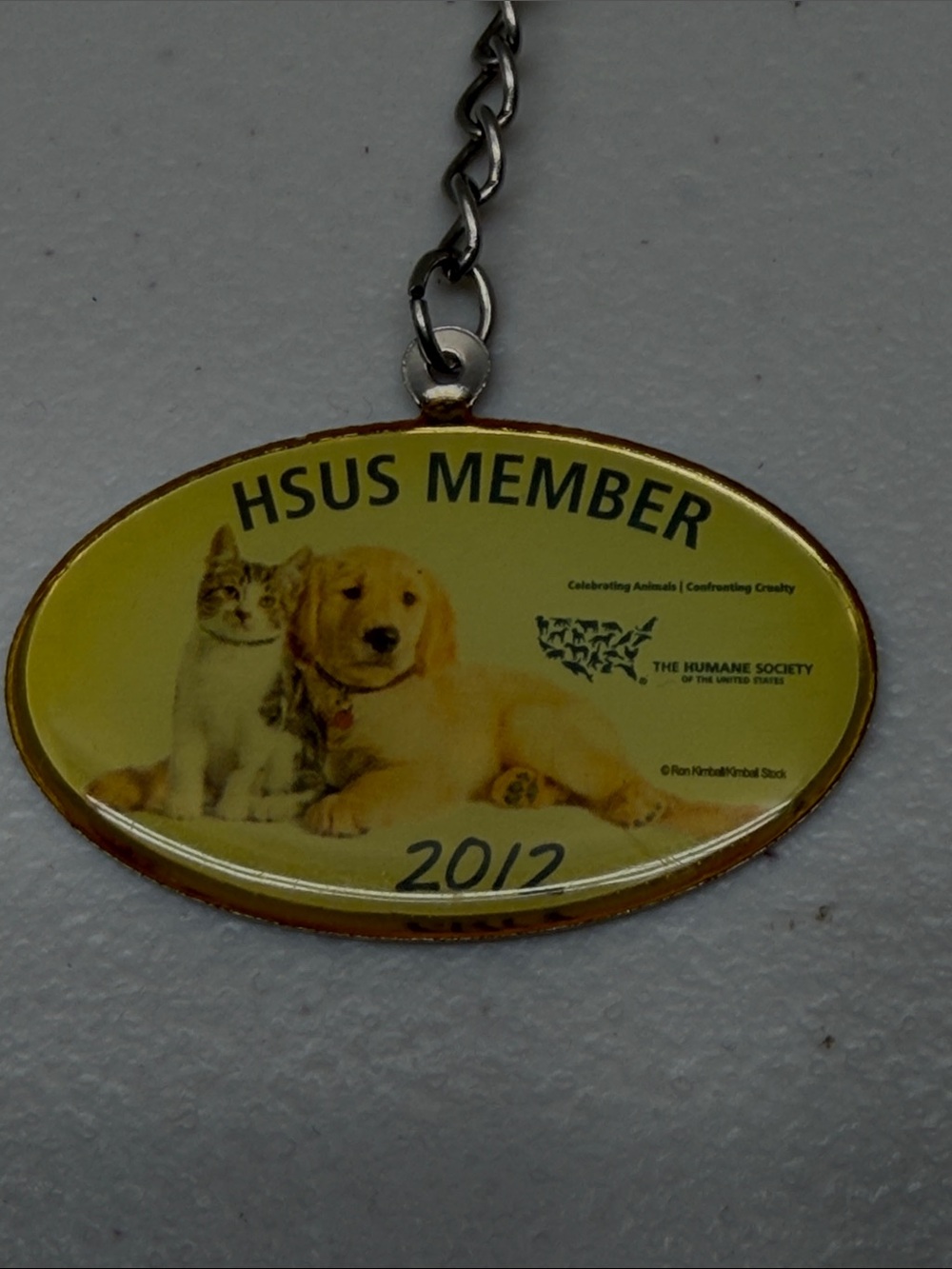 2012 HSUS MEMBER KEYCHAIN KEY RING CHAIN FOB HANGTAG  ADORABLE PUPPY AND KITTEN